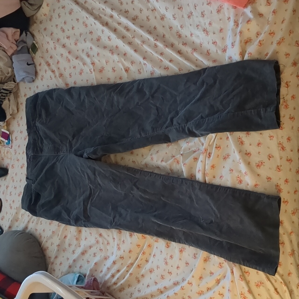 Gloria Vanderbilt pants